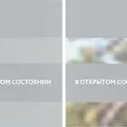 Consul жемчужный