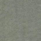 Сизый Канвас. v-1902